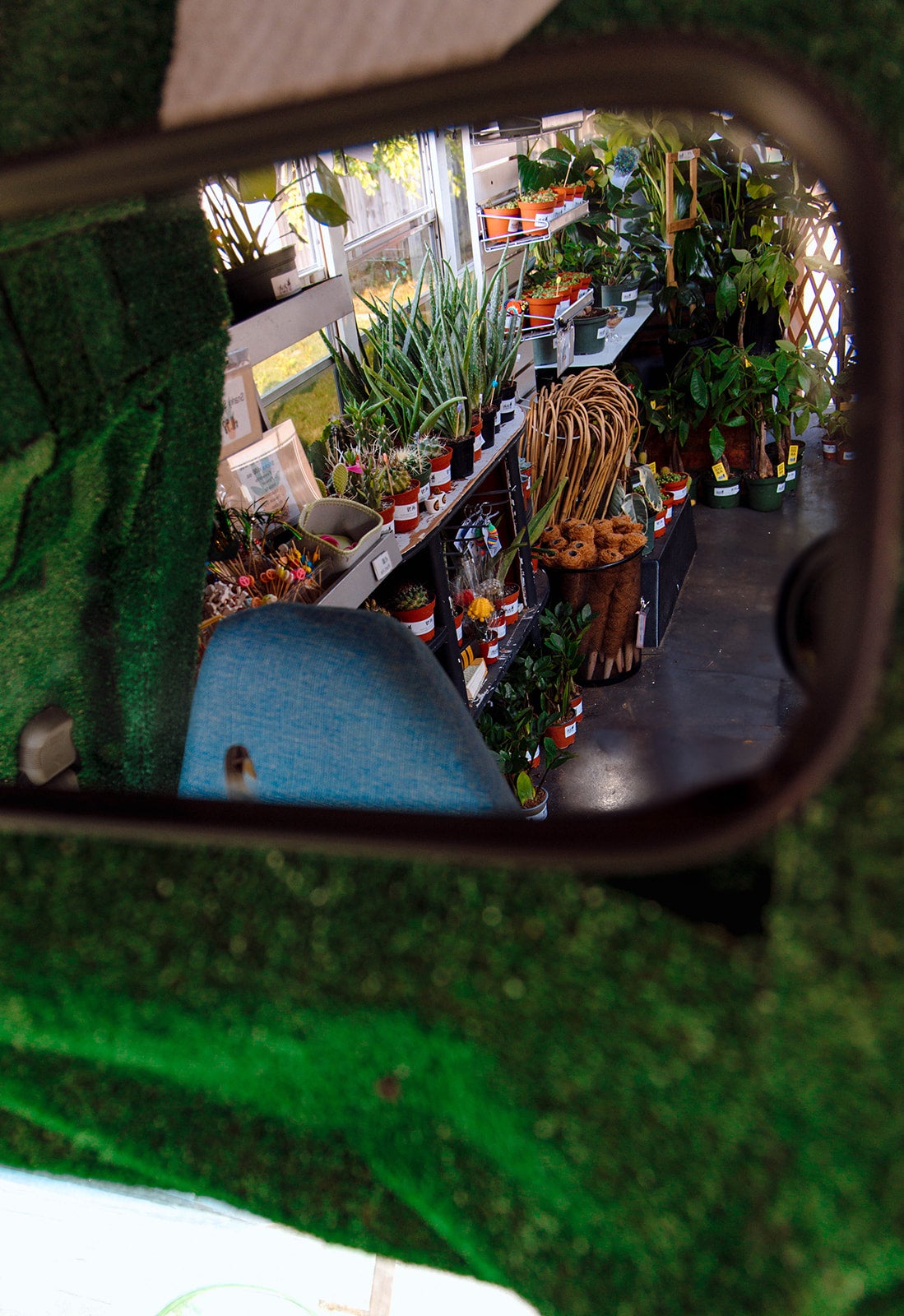 Home | JuJu Plant Co.